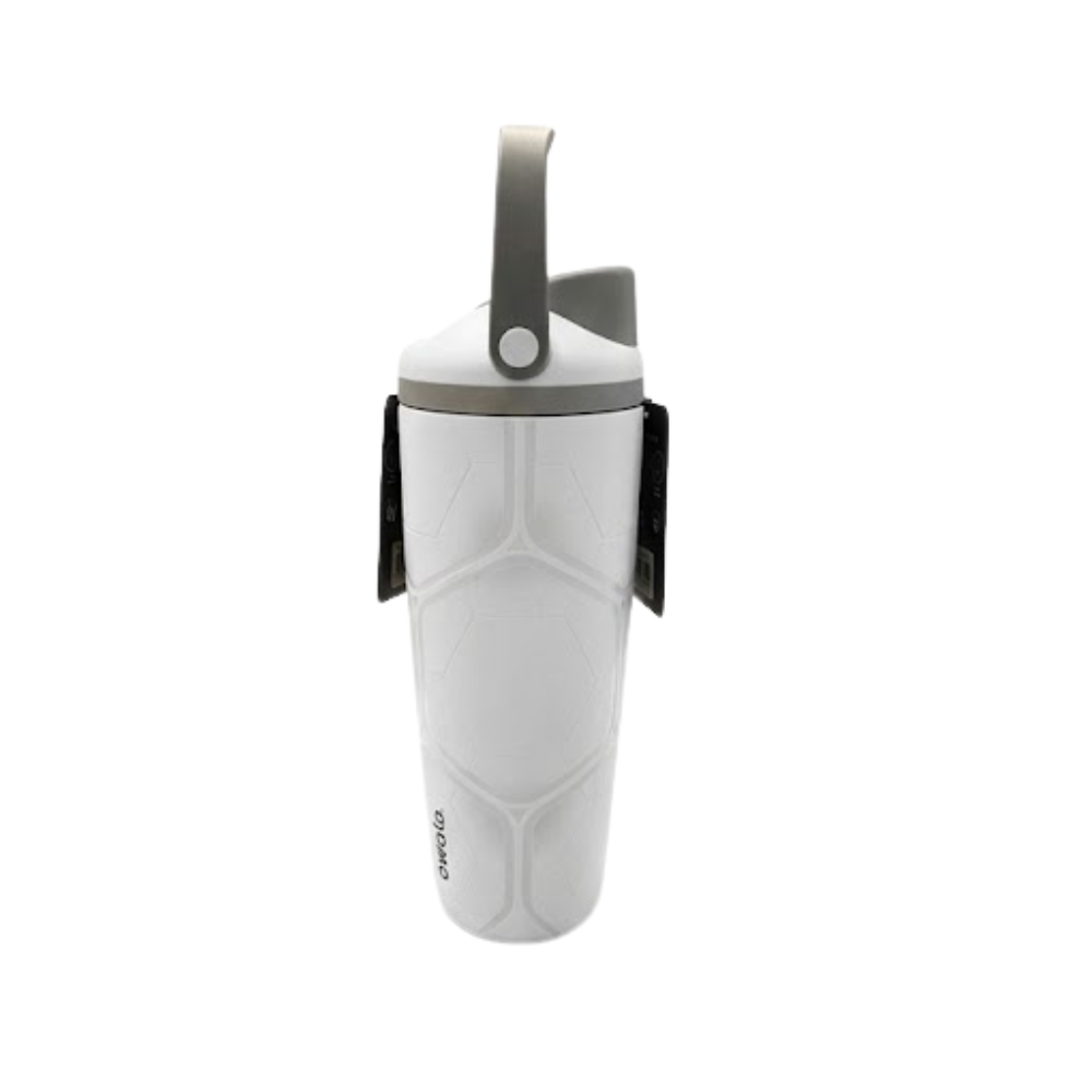 Owala FreeSip Sway Stainless Steel 30 oz Water Bottle - Goal