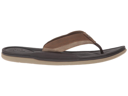 Cobian Bolster Archy Brown Flip Flop Thong Men's Sandal